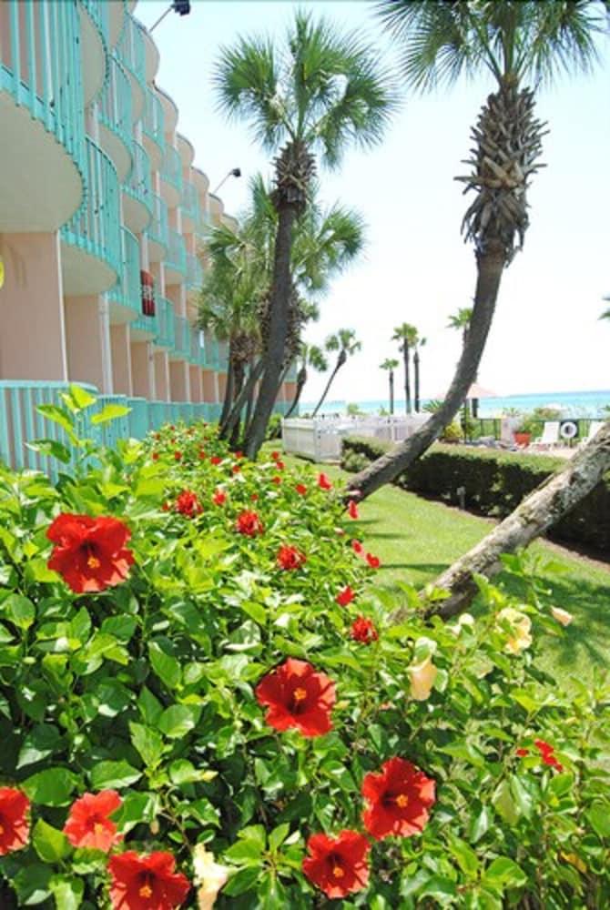 Casa Loma Panama City Beach - Beachfront Экстерьер фото